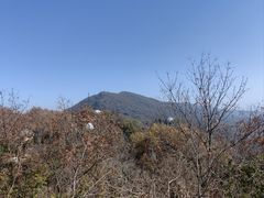 -紫金山天文台