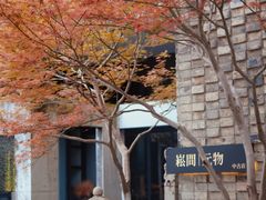-苏州本色美术馆