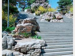 -大兴滨河森林公园