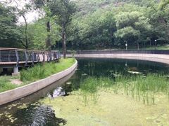 -白水寺森林公园