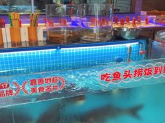 -魏铭鱼头捞饭(晋阳路店)