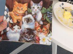 android_upload_pic-喵的天空名猫咖啡馆·撸猫·猫舍·用品