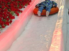 -世界之窗阿尔卑斯冰雪世界