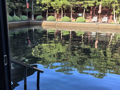 -东方华地城湿地温泉度假区