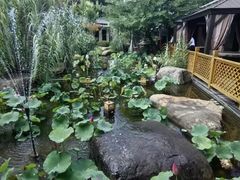 -湘力力小院·鱼汤泡饭(枫林路店)