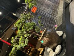 -西北人家莜面村(建设店)