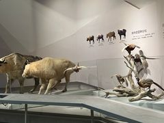 -武汉园博园(武汉自然博物馆)
