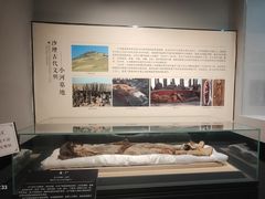 -巴音郭楞蒙古自治州博物馆