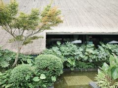 -老房子金沙元年川菜食府·花园餐厅(金沙店)