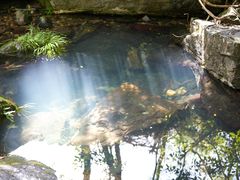 -石台牯牛降景区