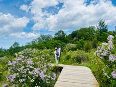 -白草畔自然风景区
