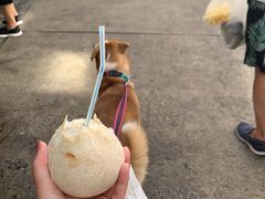 -新鸿港水果市场