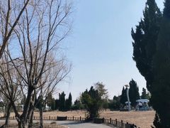 -盐城丹顶鹤湿地生态旅游区