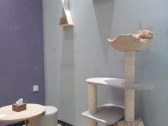 用餐区-藏猫猫咖啡主题馆(中央大道店)