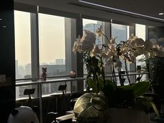 -马泷齿科·成都锦江置略马泷口腔门诊部(IFS国金中心店)