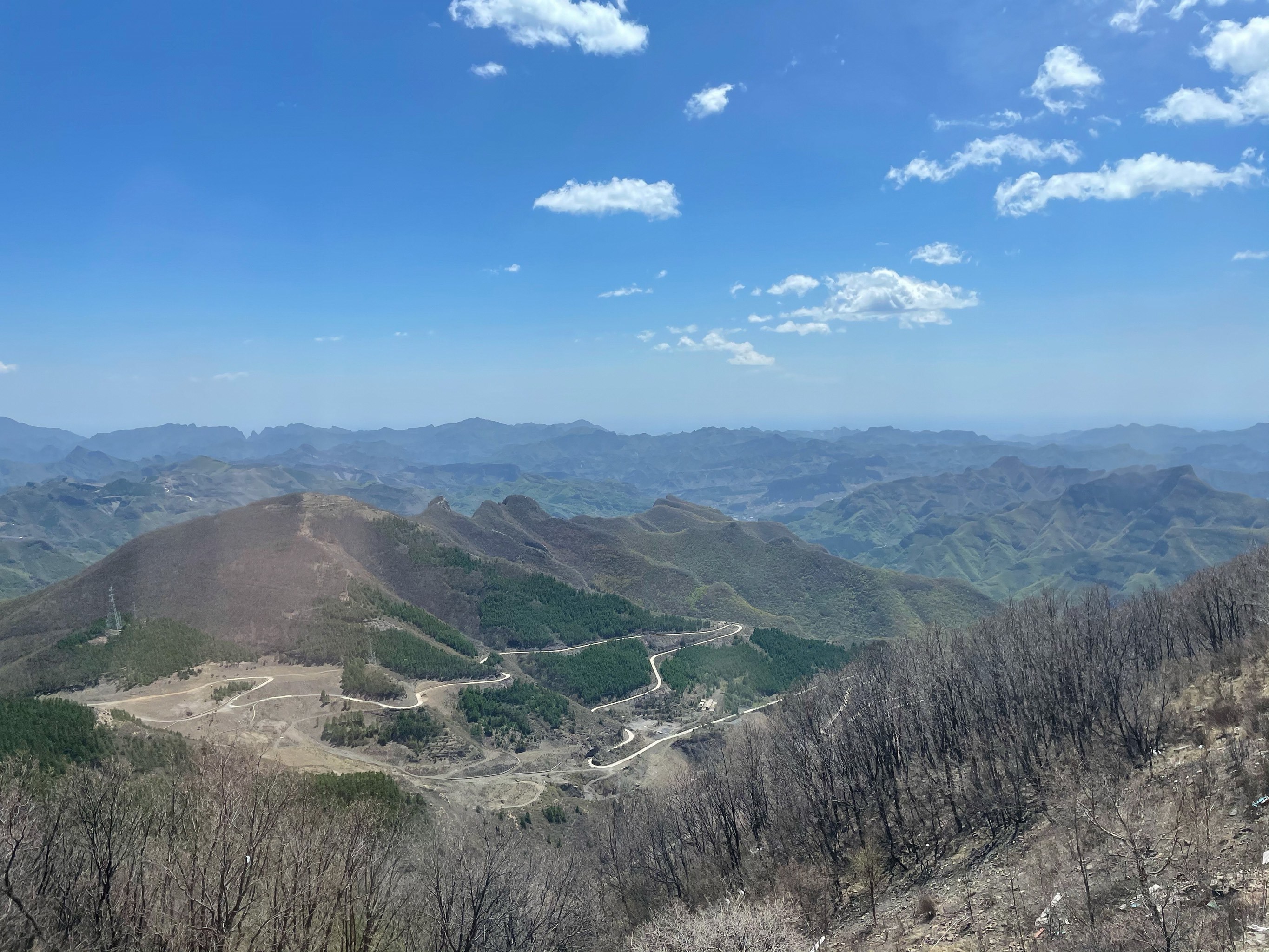 在白草畔景区里,现在还是有些冷,等到夏天
