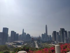 -莲花山公园