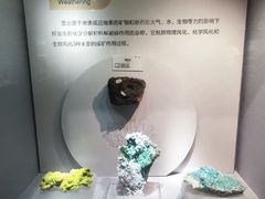 -湖南省地质博物馆