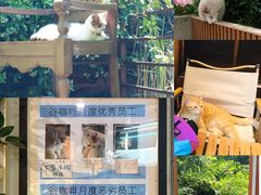 -谷咖啡·鲜花绿植花园餐厅