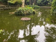 -昆明市金殿名胜区