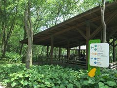 -西湖风景区-江洋畈生态公园