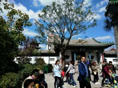 -迎泽公园