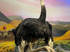 -国家自然博物馆