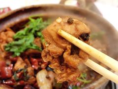 招牌家鸡煲-渝君重庆火锅(嘉宾路店)