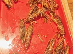 -柿子树炭烤羊腿(金台路店)