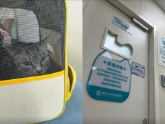 -美联众合动物医院·24h京西诊疗中心