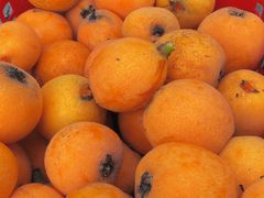 -塘栖枇杷特色园区