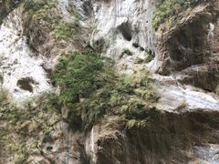 -太鲁阁公园