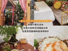-西双版纳原始森林公园