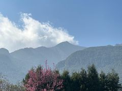 -云禾壹海景庄园餐厅