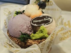 -哈根达斯(深圳海岸城店)