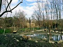 -溱湖国家湿地公园