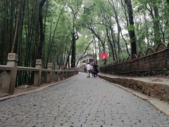 -灵岩山风景区
