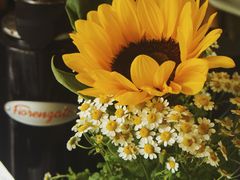 -WATER CAFE(广厦店)