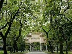 -中山大学学者灵芝(园南路店)
