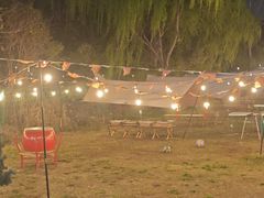 -上海山野camping·户外天幕烧烤·团建拓展营地