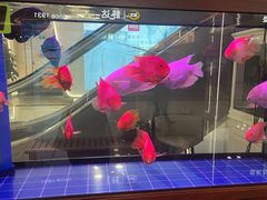 -红星美凯龙(上海沪南店)