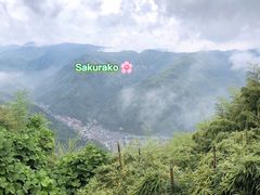 -藏龙百瀑风景区