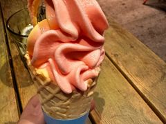 -SELVA森林海滩·拉丁餐厅&Bar(虹桥新天地店)