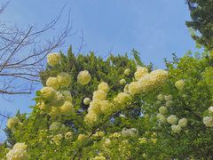 -狼山风景名胜区