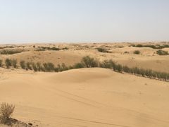 -银肯塔拉沙漠生态旅游景区