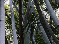 -烈士陵园(地铁站)