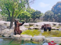 -常州淹城野生动物世界