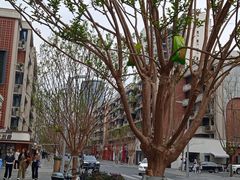 -玉林生活广场