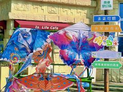 -南湖梦幻岛