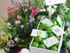 -TURIGHT买手店(锦沧文华广场店)